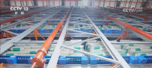 智慧云賦能“大國糧倉” 信息技術(shù)開發(fā)驅(qū)動(dòng)糧儲(chǔ)信息化與智能化